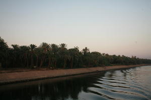 dusk, East Timor, Egypt, Egypt, eye level view, palm, river, river Nile, tree, vegetation