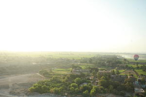 aerial view, dusk, East Timor, Egypt, Egypt, palm, tree, vegetation