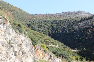 autumn, bright, Croatia, day, Dubrovacko-Neretvanska, Dubrovnik, elevated, hill, natural light, shrubland, sunny