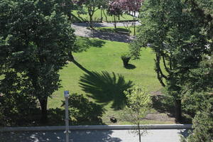 day, elevated, park, Porto, Porto, Portugal, spring, sunny