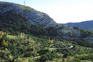 autumn, bright, day, elevated, forest, France, mountain, Provence Alpes Cote D