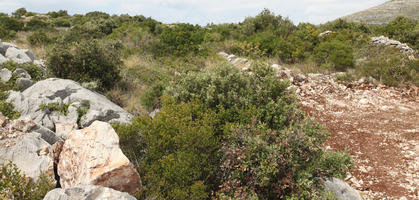 autumn, Croatia, day, diffuse, diffused light, elevated, mountain, shrubland