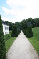 Belgium, Brussels, day, elevated, grass, hedge, natural light, park, path, summer