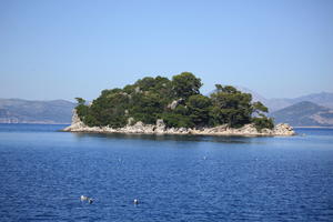 coastline, Croatia, day, eye level view, island, seascape, summer, tree, vegetation