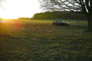 dusk, England, eye level view, grass, London, park, sunny, The United Kingdom, tree