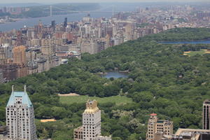 Central Park, cityscape, day, elevated, Manhattan, New York, park, sunny, The United States, tree, vegetation