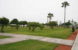 ambient light, autumn, cloudy, day, diffuse, diffused light, eye level view, grass, greenery, Lima, Lima, natural light, nature, overcast, palm, park, Peru, tree