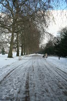 ambient light, Battersea park, day, diffuse, diffused light, England, eye level view, London, natural light, park, snow, The United Kingdom, track, tree, vegetation, winter