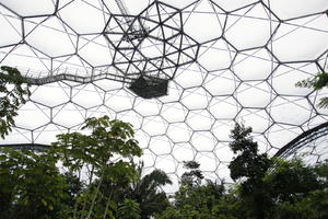 autumn, below, ceiling, day, diffuse, diffused light, Eden Project, England, garden, glass, The United Kingdom