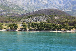 coastline, Croatia, day, eye level view, Makarska, seascape, Splitsko-Dalmatinska, summer, tree, vegetation