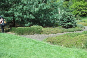 day, England, eye level view, garden, grass, natural light, park, plant, The United Kingdom, Woking