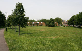 bright, broad-leaf tree, broad-leaved tree, day, direct sunlight, England, eye level view, grass, London, park, summer, sunny, The United Kingdom, treeline