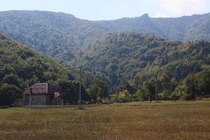 Croatia, day, eye level view, field, grass, Karlovacka, mountain, sunny, woodland