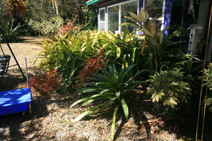 day, eye level view, Florida, Miami, natural light, park, sunny, The United States, tropical, vegetation, winter