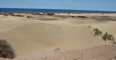 beach, Canarias, day, direct sunlight, dunes, eye level view, Las Palmas de Gran Canaria, sand dune, Spain, spring, sunny