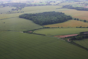 aerial view, day, field, The United Kingdom, woodland