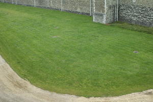 above, ambient light, diffuse, diffused light, elevated, England, grass, lawn, London, looking down, park, summer, The United Kingdom