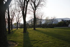 Boulogne-sur-Mer, day, deciduous, dusk, eye level view, France, grass, Nord-Pas-de-Calais, park, spring, sunny, tree