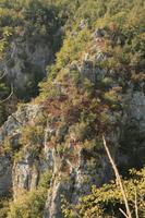 Croatia, day, elevated, Karlovacka, mountain, sunny, tree, vegetation, woodland