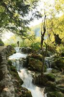 Croatia, day, eye level view, Karlovacka, sunny, tree, vegetation, waterfall