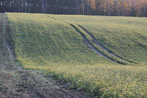 Poland, Wielkopolskie