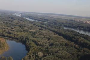 aerial view, Austria, day, forest, natural light, river, sunny, vegetation, Vienna, Wien