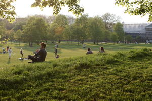 broad-leaf tree, broad-leaved tree, day, deciduous, England, eye level view, grass, group, London, park, people, picnicking, sitting, spring, sunny, The United Kingdom, tree