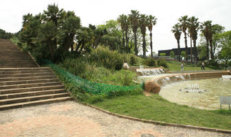 Barcelona, Cataluña, Chamaerops humilis, day, diffuse, diffused light, eye level view, fountain, natural light, palm, park, Spain, spring, Washingtonia filifera