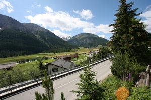 day, elevated, Graubunden, mountain, natural light, pine, road, Saint Moritz, Switzerland, tree