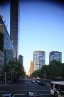 building, car, day, elevated, Manhattan, New York, street, sunny, The United States, tree, vegetation