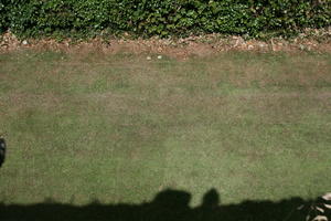 above, day, England, grass, Hastings, summer, The United Kingdom, top-down perspective