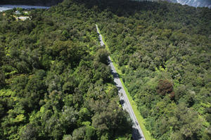 day, elevated, New Zealand, road, summer, sunny, West Coast, woodland