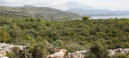 autumn, Croatia, day, diffuse, diffused light, elevated, mountain, shrubland