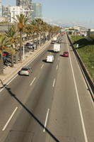 above, autumn, Barcelona, bright, car, Cataluña, day, palm, Phoenix canariensis, Spain, street, sunny, van