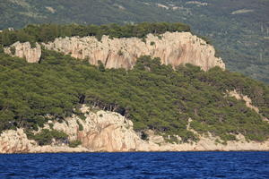 coastline, Croatia, day, eye level view, Makarska, seascape, Splitsko-Dalmatinska, summer, tree, vegetation