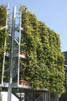 below, day, direct sunlight, hanging, Italia , potted plant, spring, sunny, Toscana