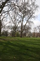 day, England, eye level view, grass, London, park, spring, sunny, The United Kingdom, tree