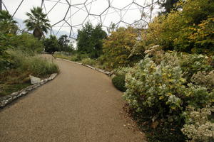 autumn, bush, day, diffuse, diffused light, Eden Project, England, eye level view, garden, path, shrub, The United Kingdom