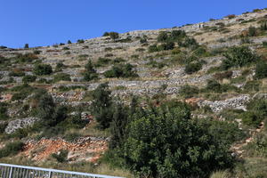 autumn, below, bright, bush, Croatia, day, Dubrovacko-Neretvanska, Dubrovnik, hill, natural light, shrubland, sunny, vegetation