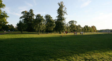 afternoon, broad-leaf tree, broad-leaved tree, day, England, eye level view, grass, London, park, summer, sunny, The United Kingdom, treeline