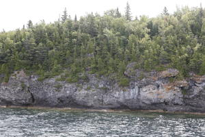 broad-leaf tree, broad-leaved tree, Canada, cliff, coniferous, day, eye level view, Ontario, seascape, summer, sunny, Tobermory, tree, treeline, woodland