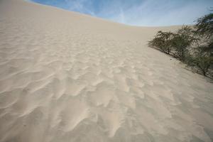 day, desert, direct sunlight, eye level view, Ica, Peru, spring, sunlight, sunny, sunshine