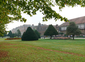 afternoon, bush, day, England, eye level view, grass, leaf, natural light, park, summer, sunny, The United Kingdom, tree