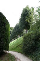 Belgium, Brussels, day, eye level view, grass, hedge, natural light, park, summer, tree, vegetation