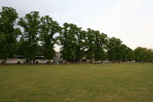 afternoon, Cambridge, day, England, eye level view, grass, lawn, park, spring, The United Kingdom, tree, vegetation