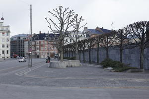 Copenhagen , day, Denmark, eye level view, Kobenhavn, pavement, street, sunny, tree, winter