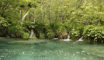 Croatia, day, diffuse, diffused light, eye level view, Karlovacka, lake, natural light, plant, shrub, summer, woodland