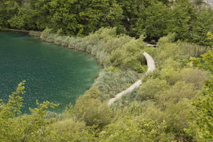 Croatia, day, diffuse, diffused light, elevated, Karlovacka, lake, natural light, reed, summer