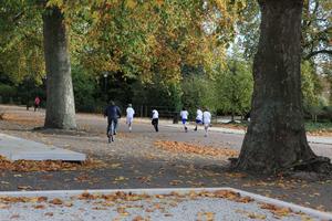 afternoon, autumn, Battersea park, child, day, England, eye level view, group, leaf, London, park, path, running, The United Kingdom, tree