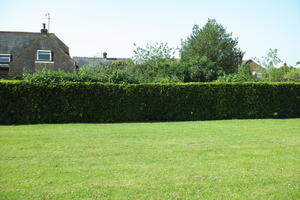 day, England, eye level view, grass, hedge, lawn, park, Romsey, sunny, The United Kingdom